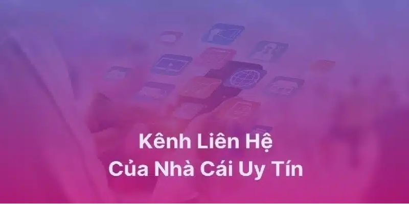 nhung-van-de-can-chu-y-khi-lien-he-1xbet