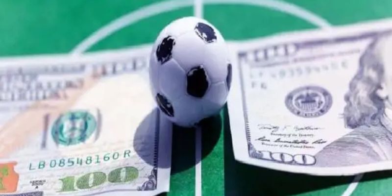 Bí quyết cược hiệu quả nhất