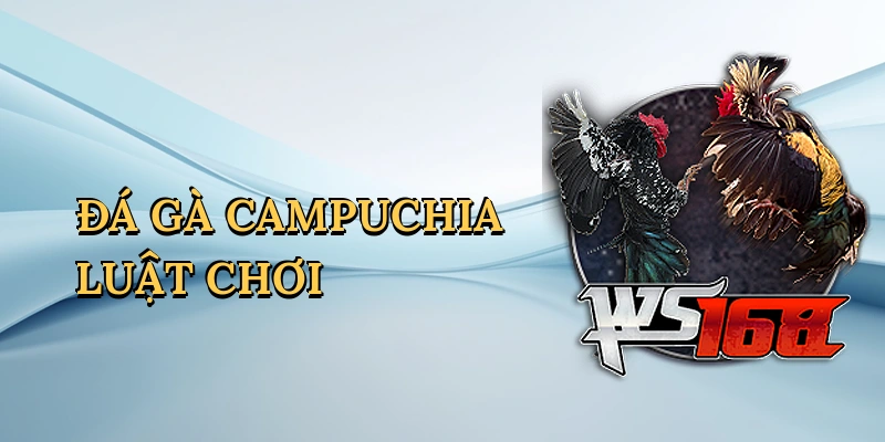 da-ga-campuchia-luat-choi-1