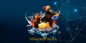 Tổng Hợp Đá Gà