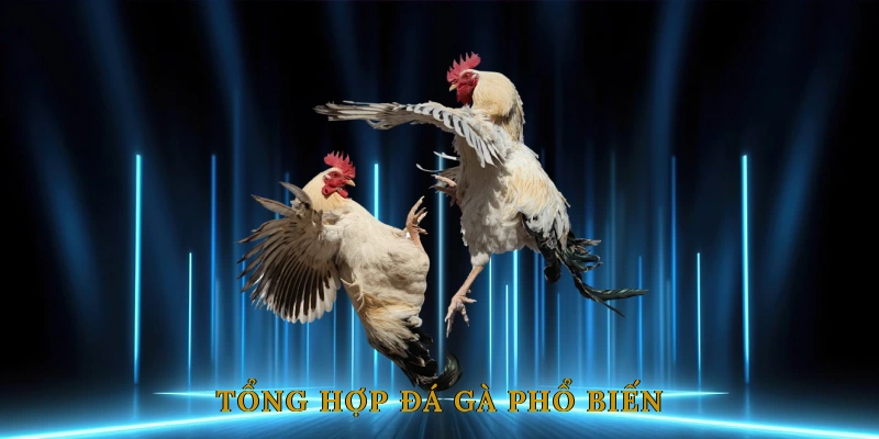Tổng Hợp Đá Gà Phổ Biến